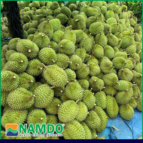 Exported durian